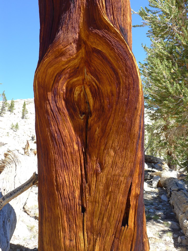 SouthernSierra 202